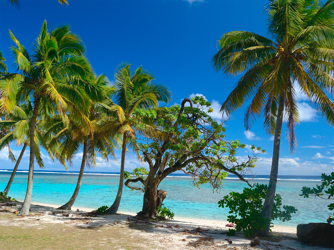 Planes para hacer en Rarotonga: Las MEJORES Actividades