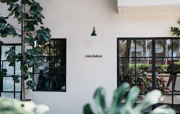Casa Pancha - Hostel - Hoteles en Hipodromo Condesa de Ciudad de México