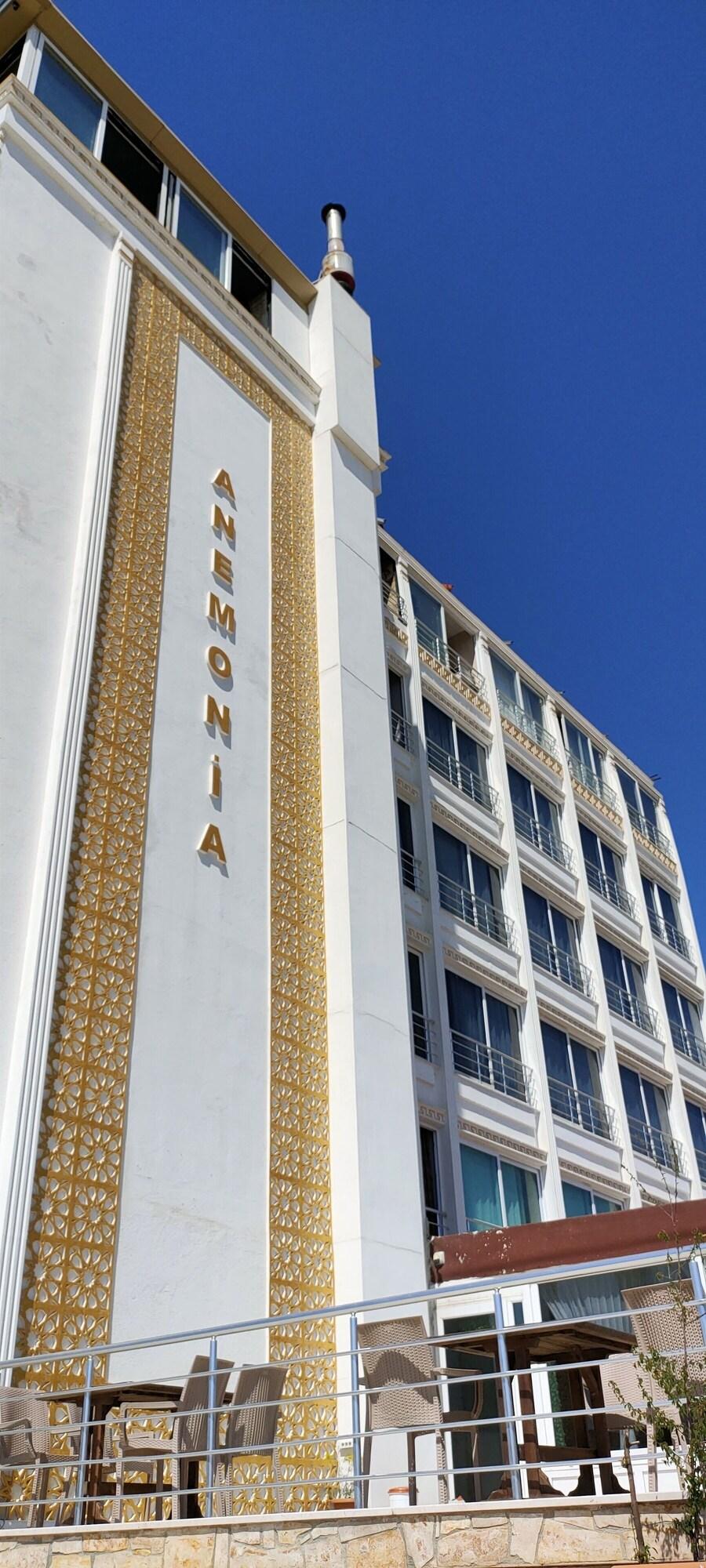 Vista Exterior Anemonia Hotel
