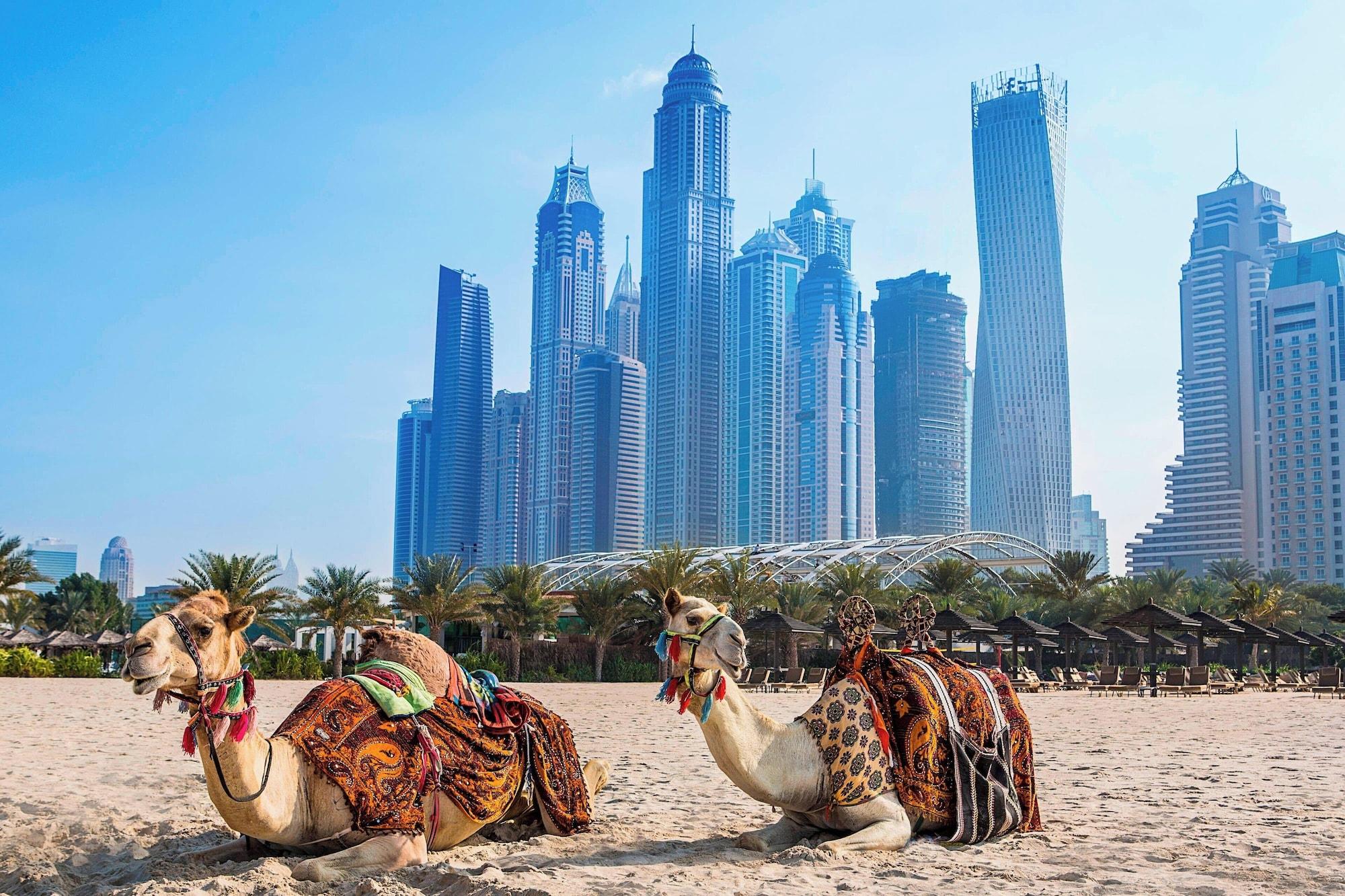 Vista Exterior Al Habtoor Grand Resort, Autograph Collection