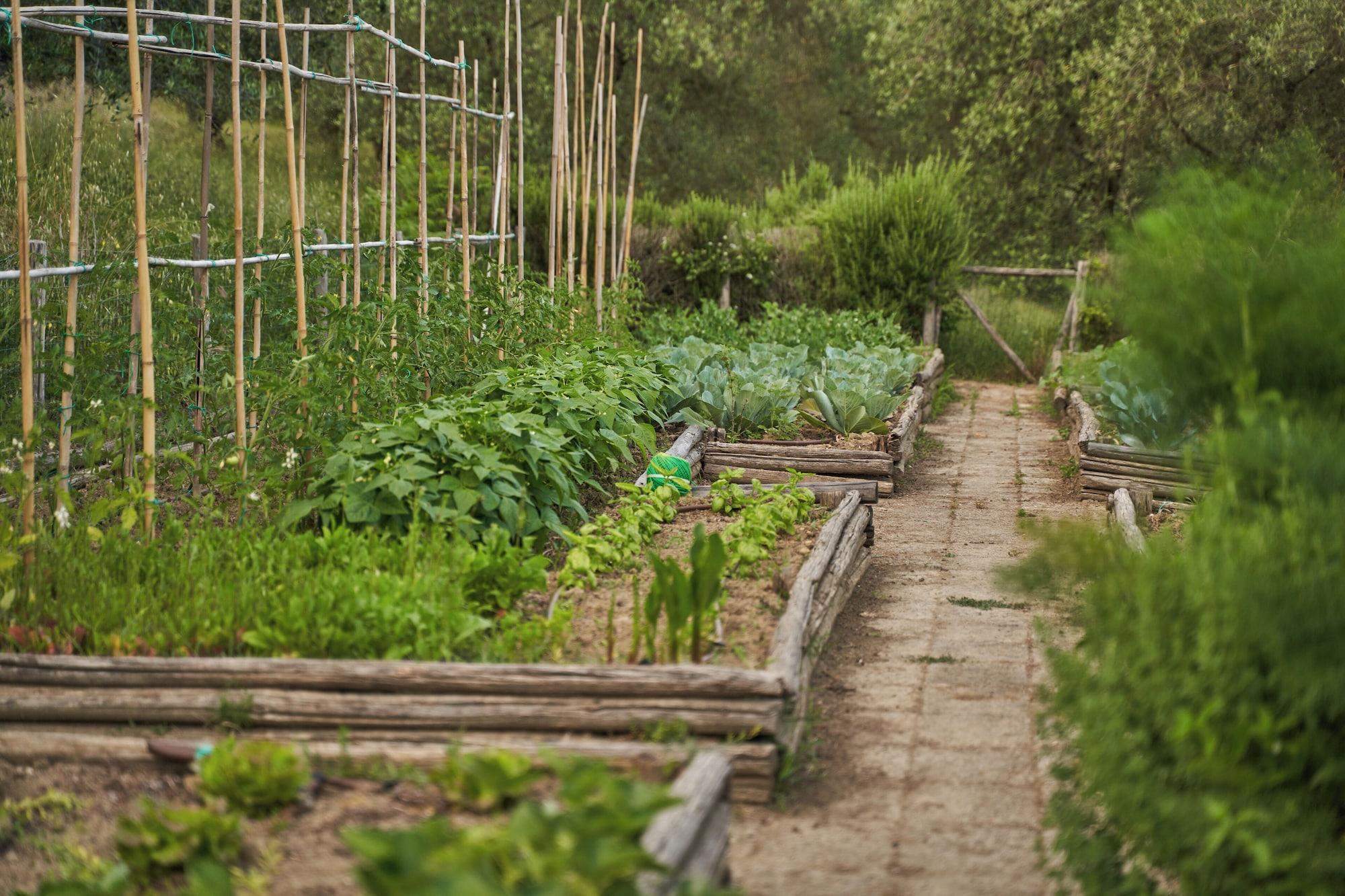 Vista Exterior Poggio Piglia