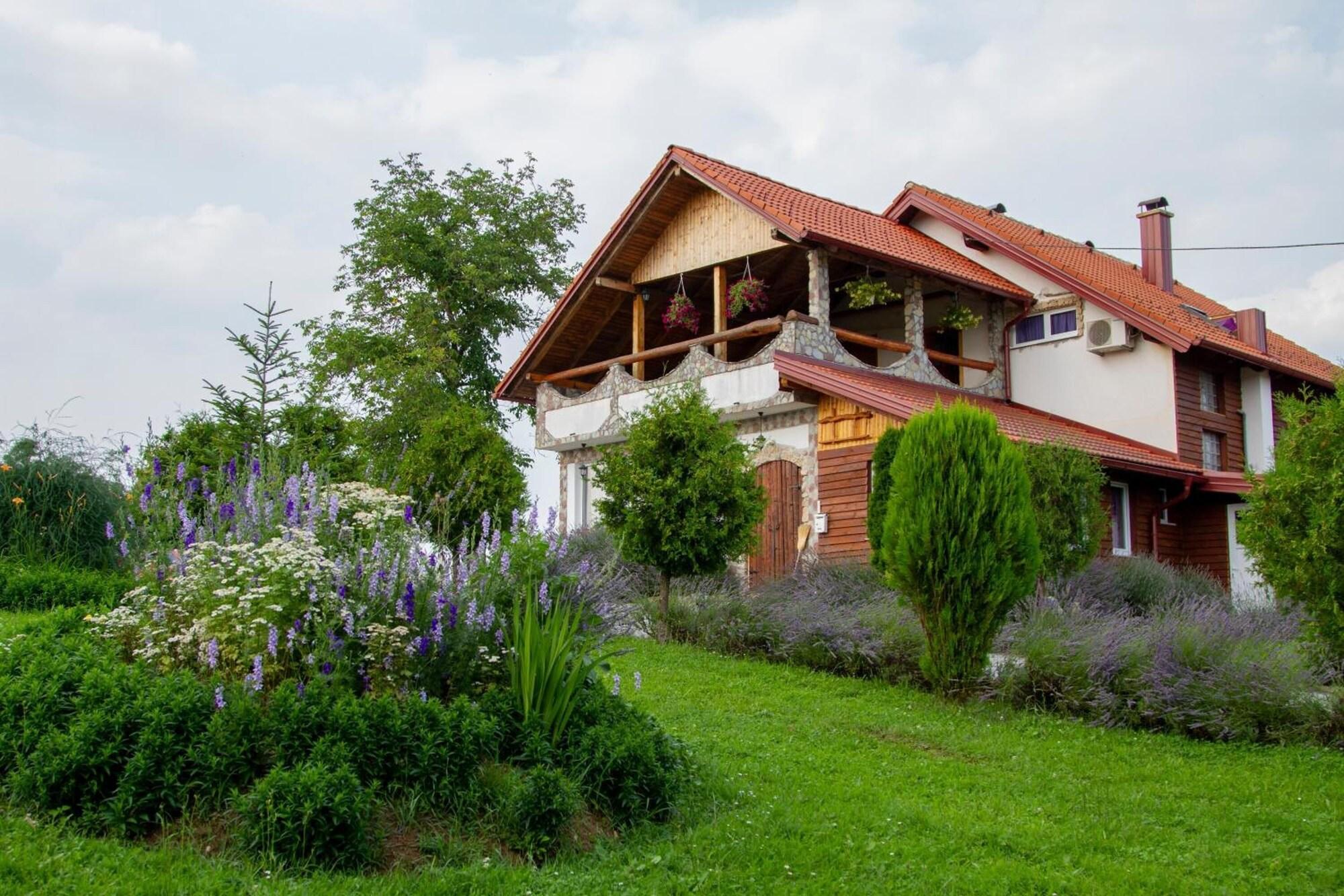 Vista Exterior apartmani lavanda