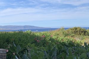 Alquiler Vacacional - Apartment Sun and Sea Couple