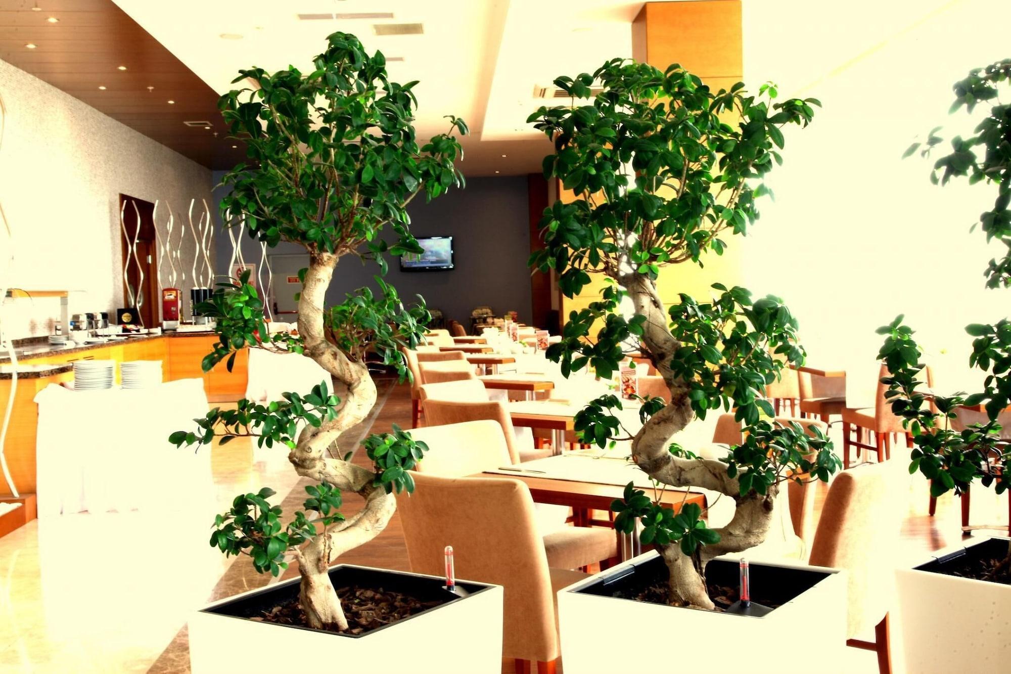 Restaurant Orucoglu Oreko Hotel