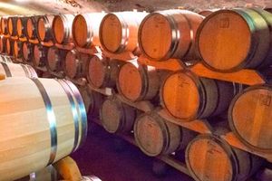 Actividad - Visita a la bodega Rombeau