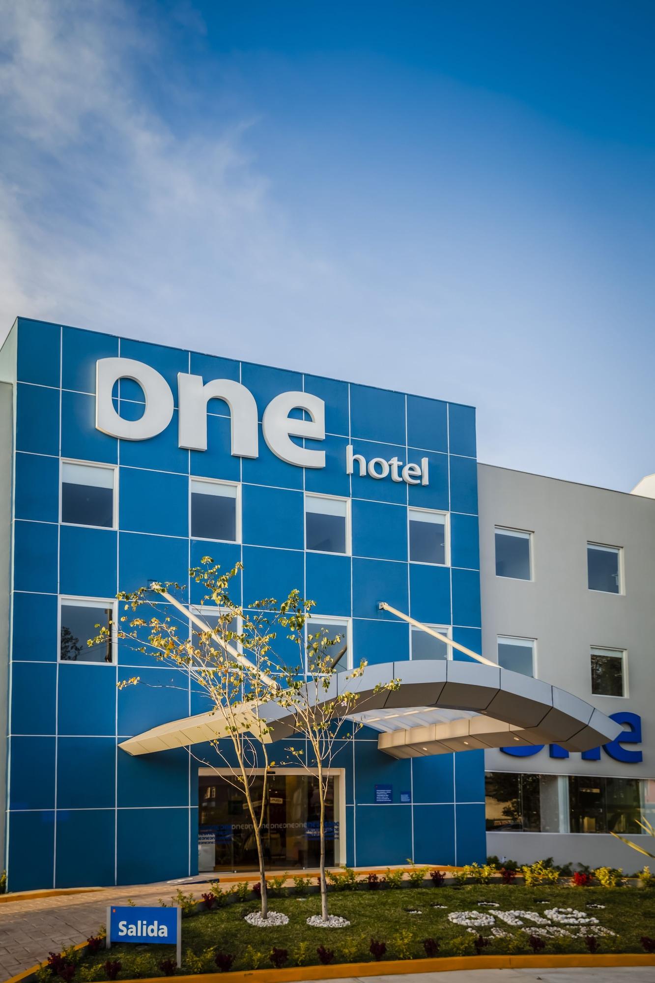 Varios One Ciudad de Mexico La Raza