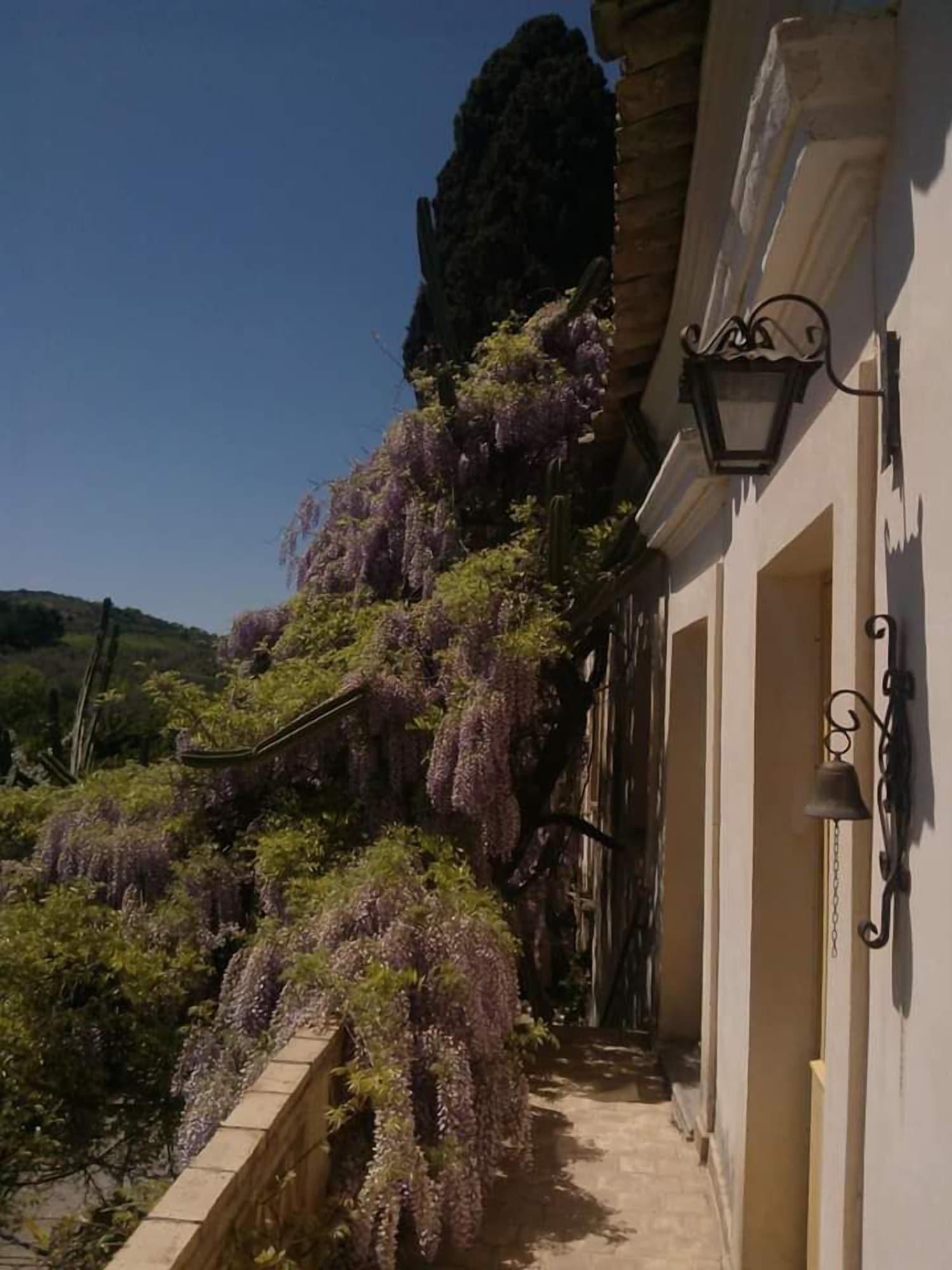 Vista Exterior B&B Casa Museo Elio Romano
