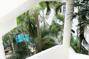 Alojamiento - Nasim Condo Hotel acceso Gratis Beach Club, a metros 5th Avenida