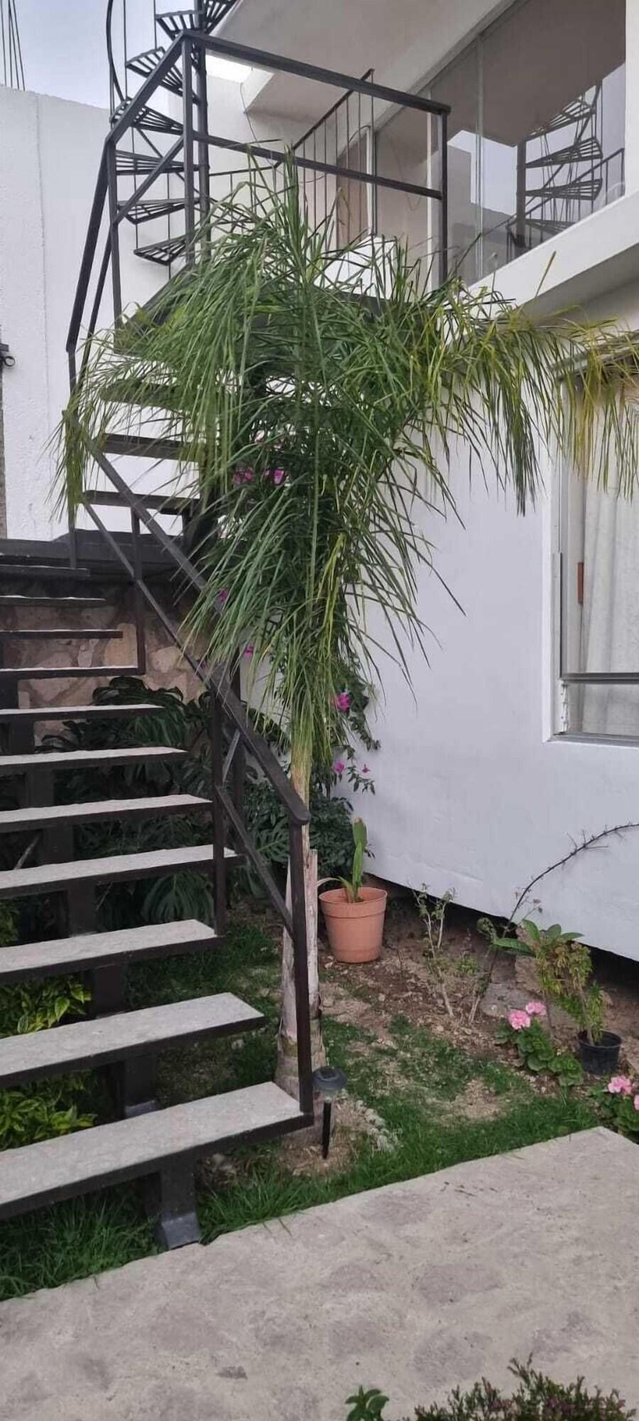 Vista Exterior Eco-espacio By Rotamundos