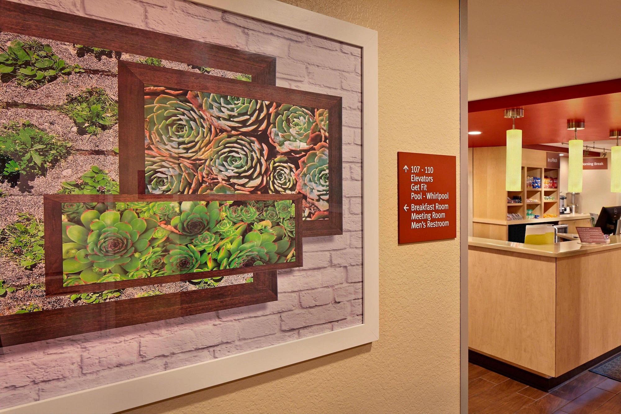 Vista Lobby TownePlace Suites by Marriott Albany Downtown/Medical Center