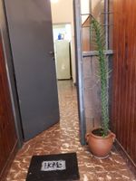 Alquiler Vacacional - Comfy flat for 4 guests. Safe and peaceful