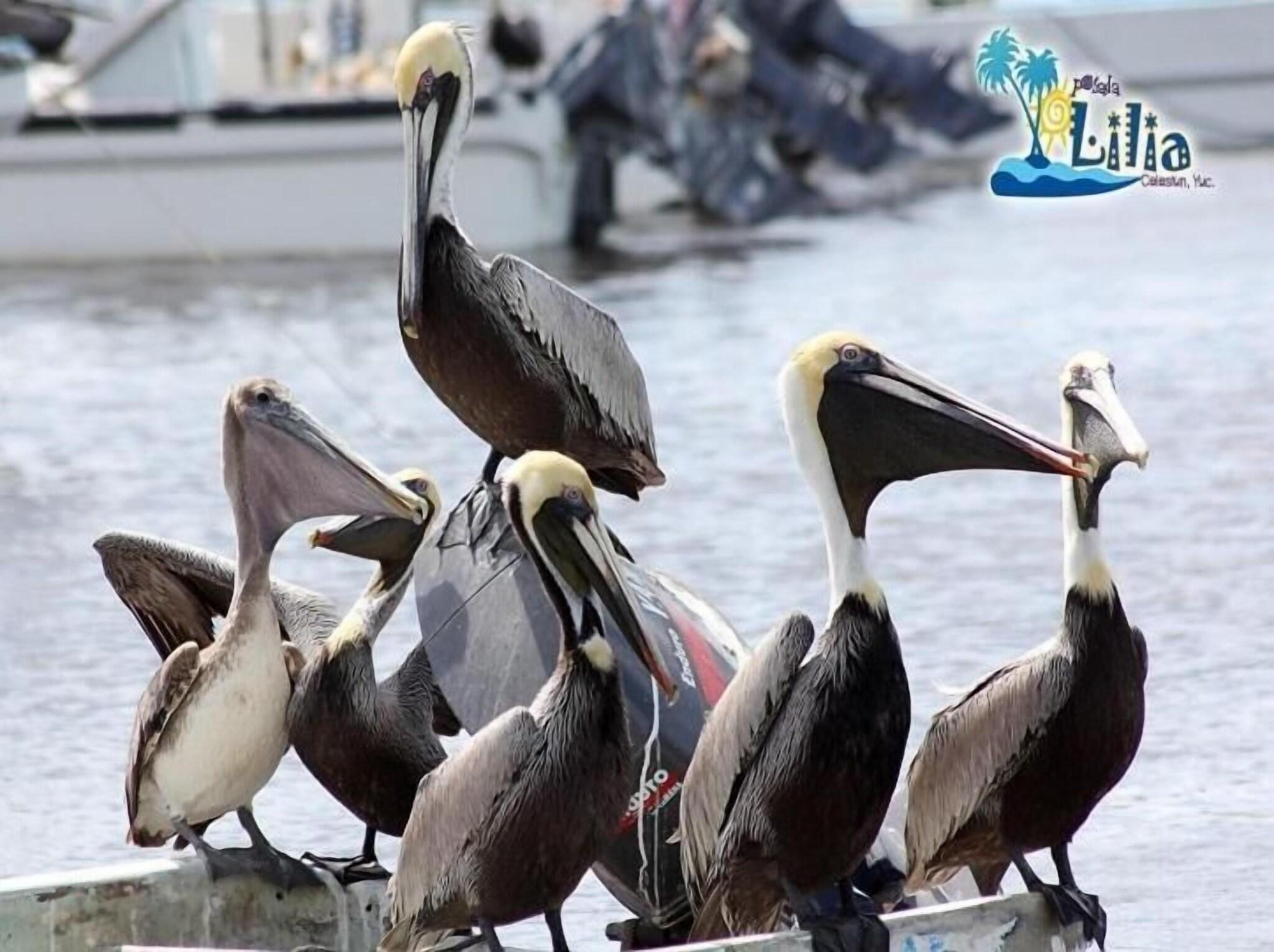 Instalaciones Recreativas Posada Lilia