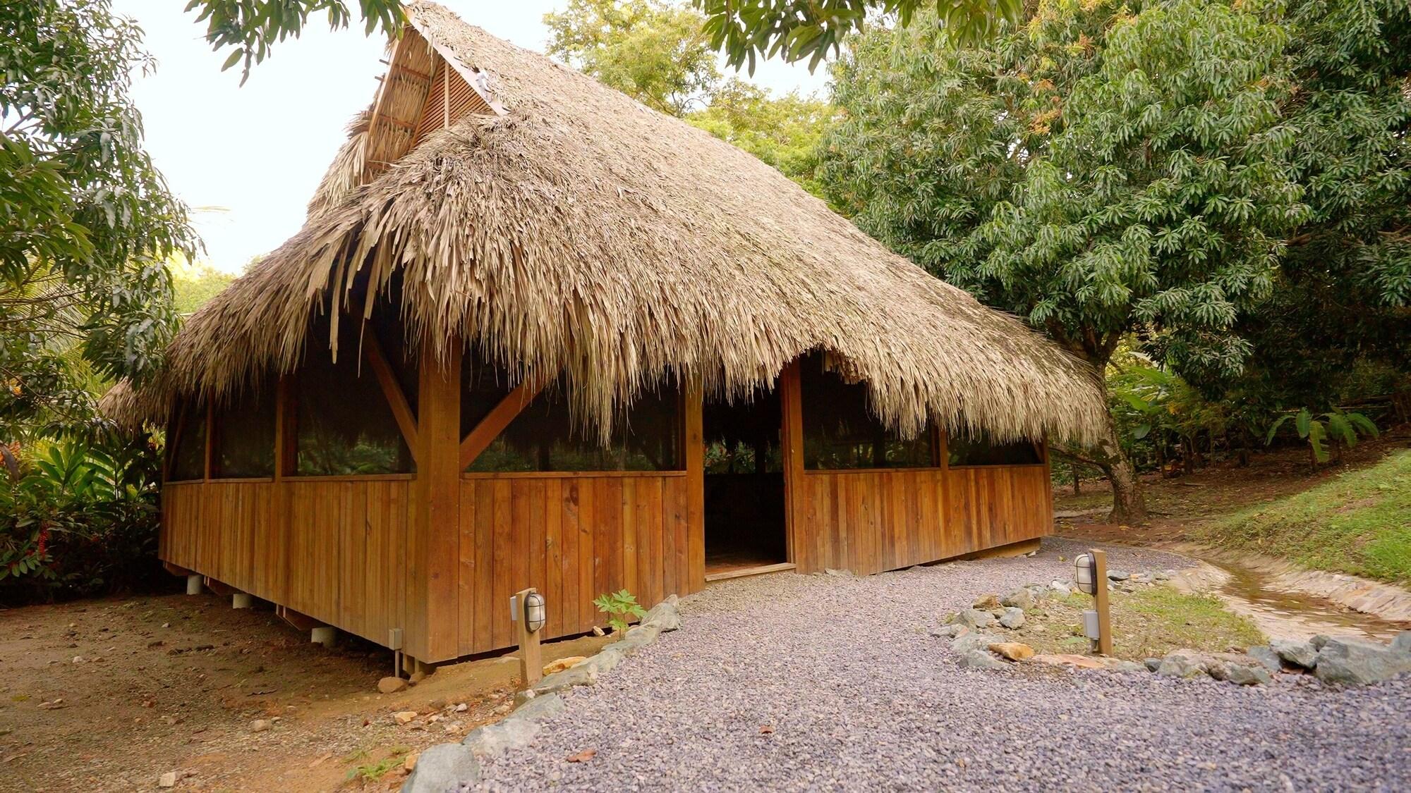 Restaurant Upachaya