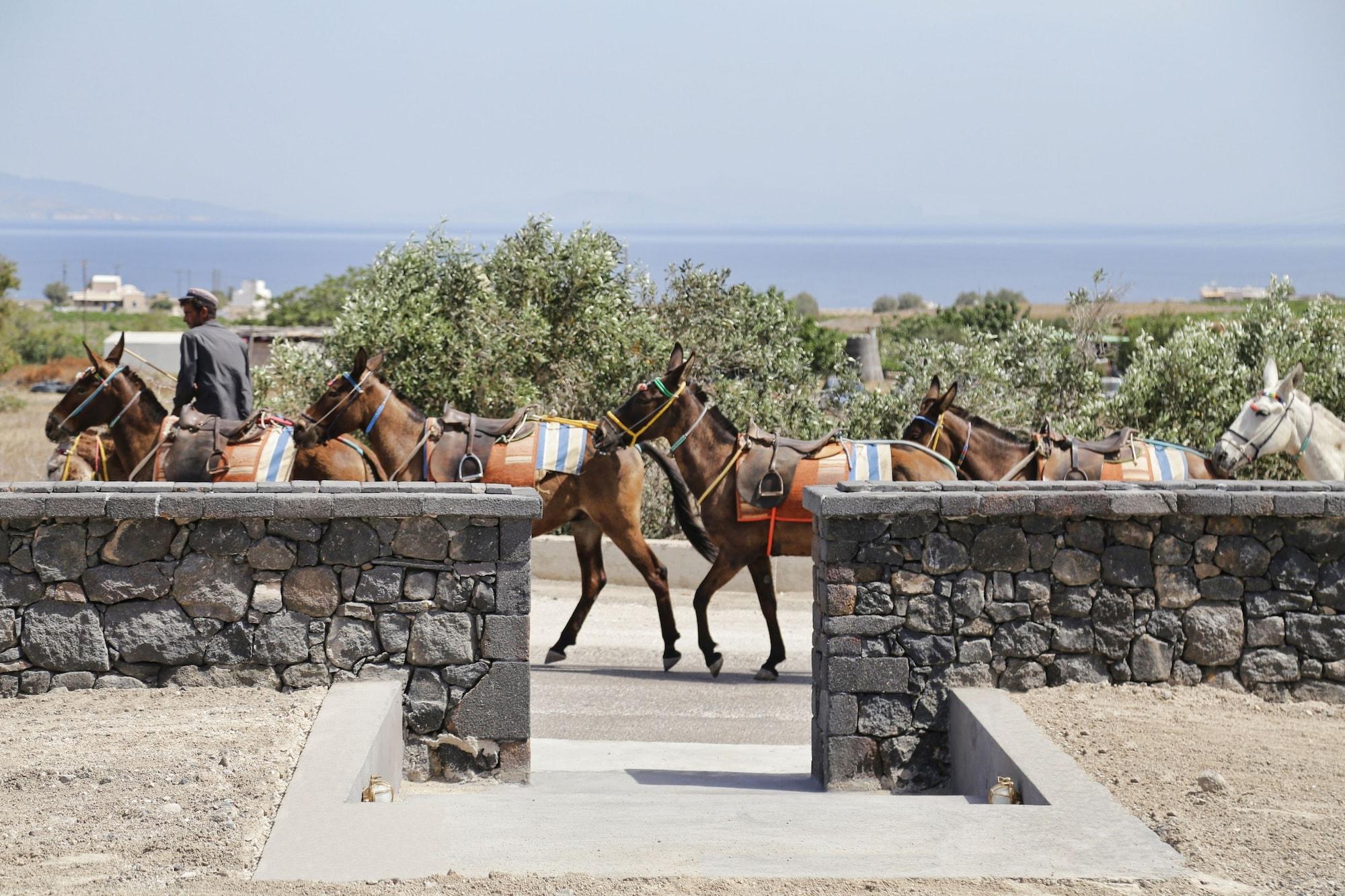 Instalaciones Recreativas Vino Houses