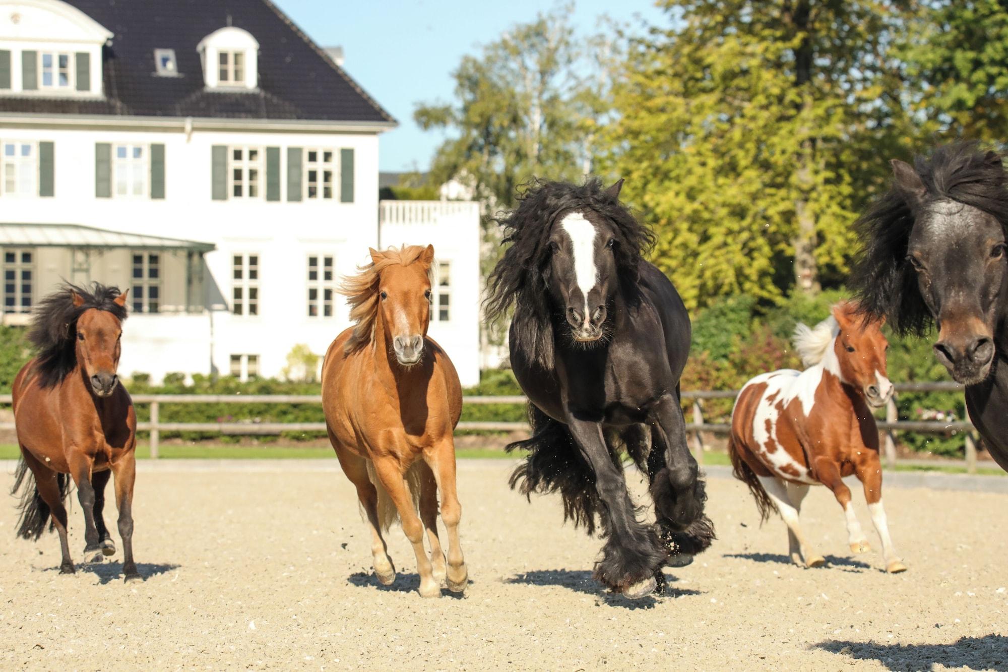 Instalaciones Recreativas Hotel Gut Immenhof