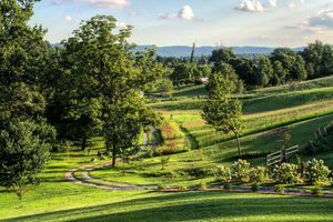Alquiler Vacacional - Cozy 3 bedroom cabin on a Christmas tree farm in Church Hill, TN.