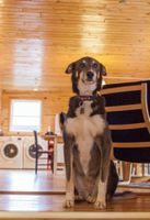 Alquiler Vacacional - Fantastic House In Grand Marais! Walking Distance To Downtown!