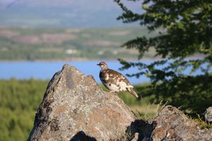 Alojamiento - Hotel 1001 Nott