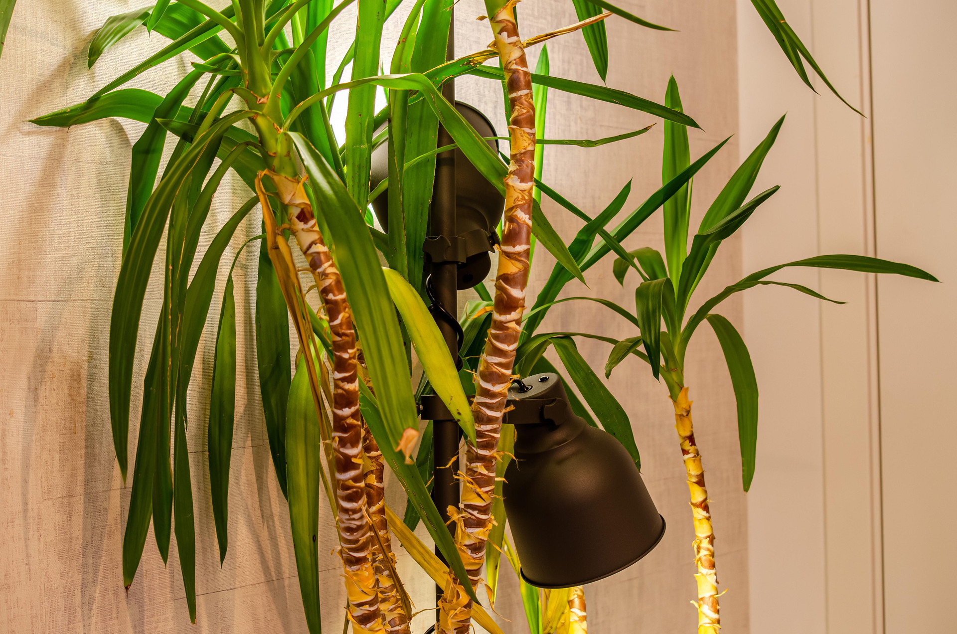 Restaurant LX51 Studios & Suites by APT IIN - Lisbon Center