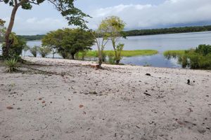 Alojamiento - POUSADA CANTO DOS PÁSSAROS