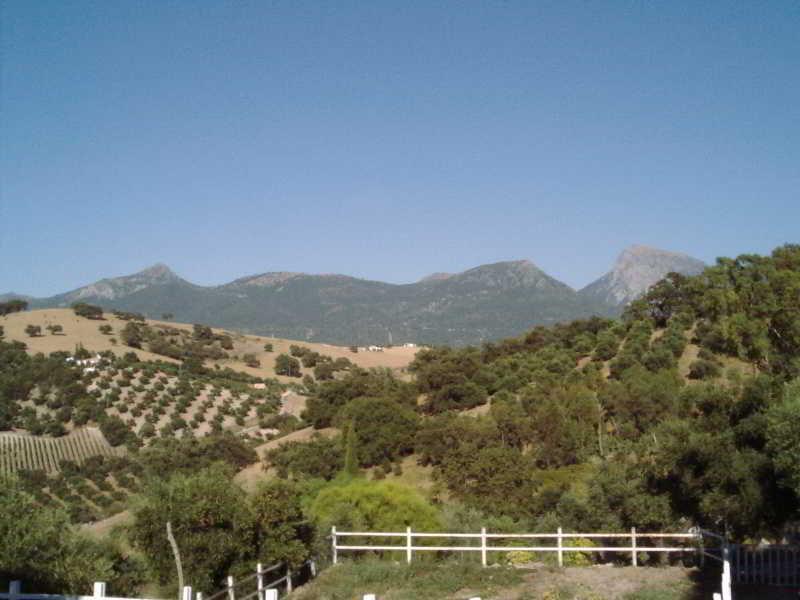 Vista Exterior Del Carmen