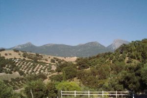 Alojamiento - Del Carmen