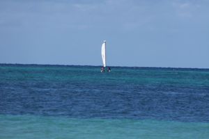 Alquiler Vacacional - An Affordable 'Real Jamaican Experience' Vacation in Falmouth