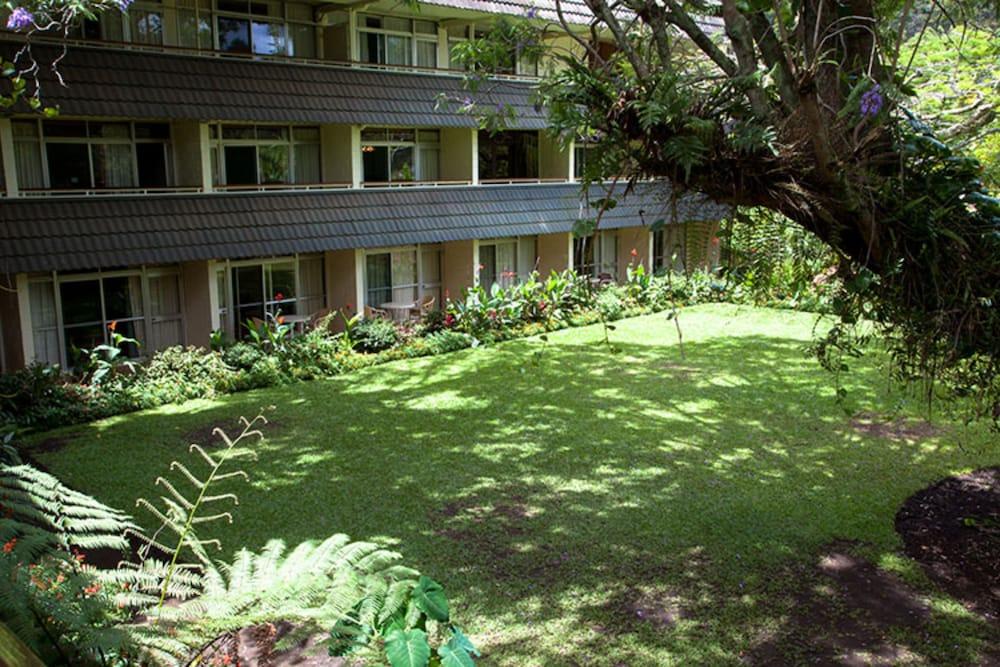 Vista Exterior Bird of Paradise Hotel & Apartments