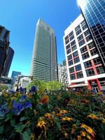 Alojamiento - Tripshine Suites