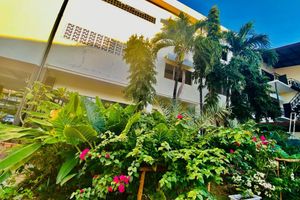 Alojamiento - Peaceful Hotel