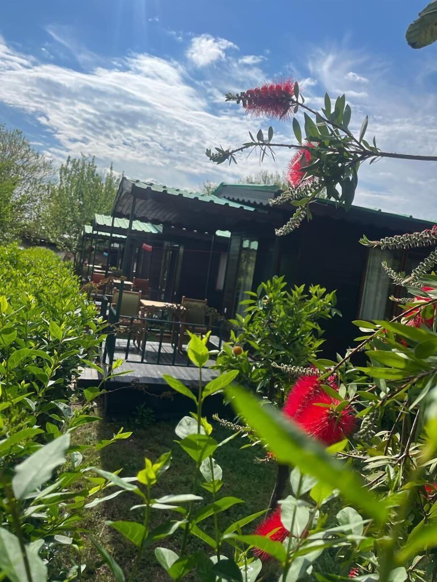 Vista Exterior Olympos Yavuz Hotel
