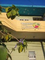 Alojamiento - Morada BemTeVi - Hostel