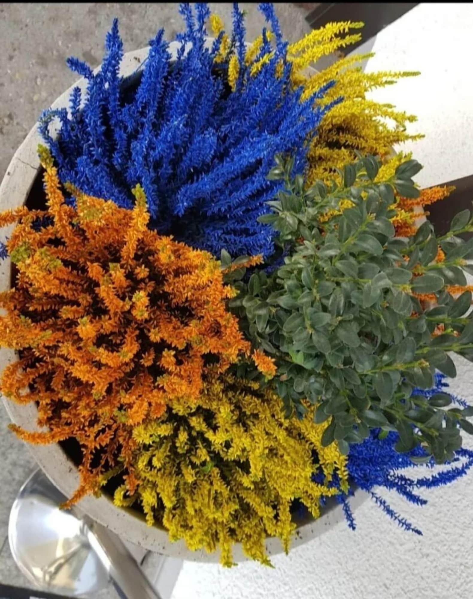 Vista Exterior Hotel Sonnenkeller