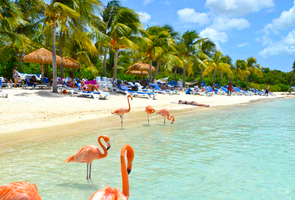 Aruba