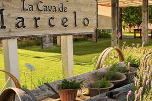 Activity - Ensenada Wine & Cheese Tasting