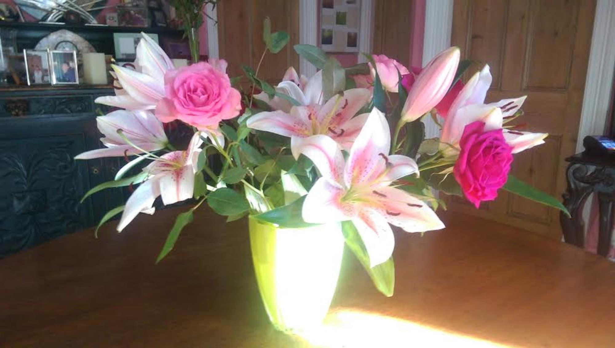 Vista Lobby Orchard Pond Bed & Breakfast