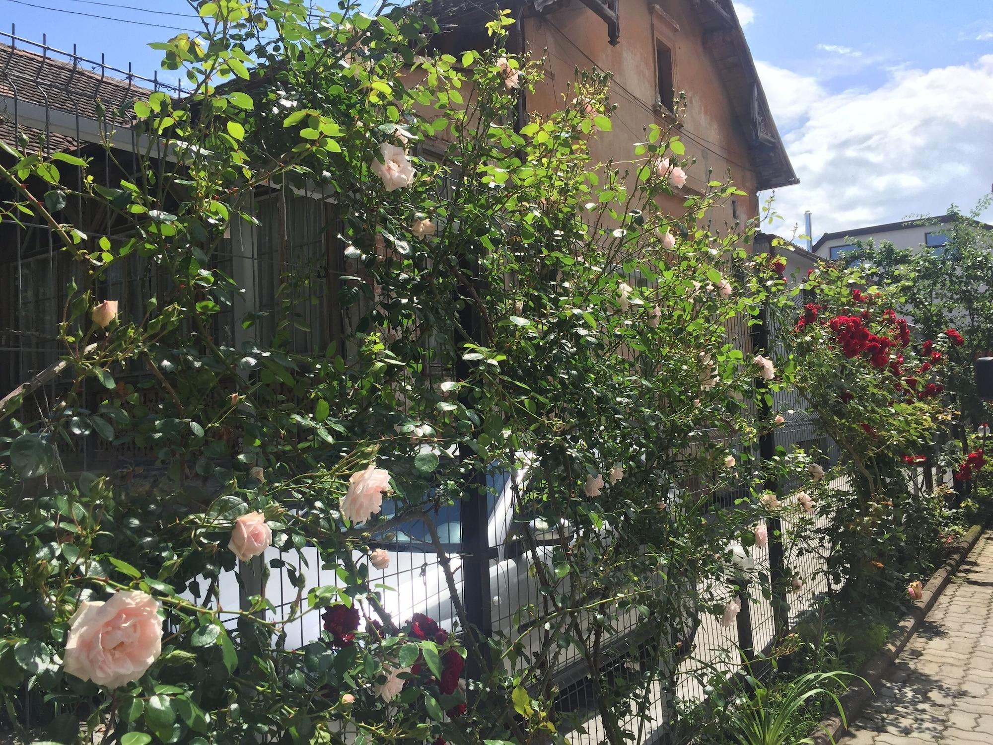 Equipamiento de Habitación Pension Buon Gusto Sibiu - motorcycle friendly