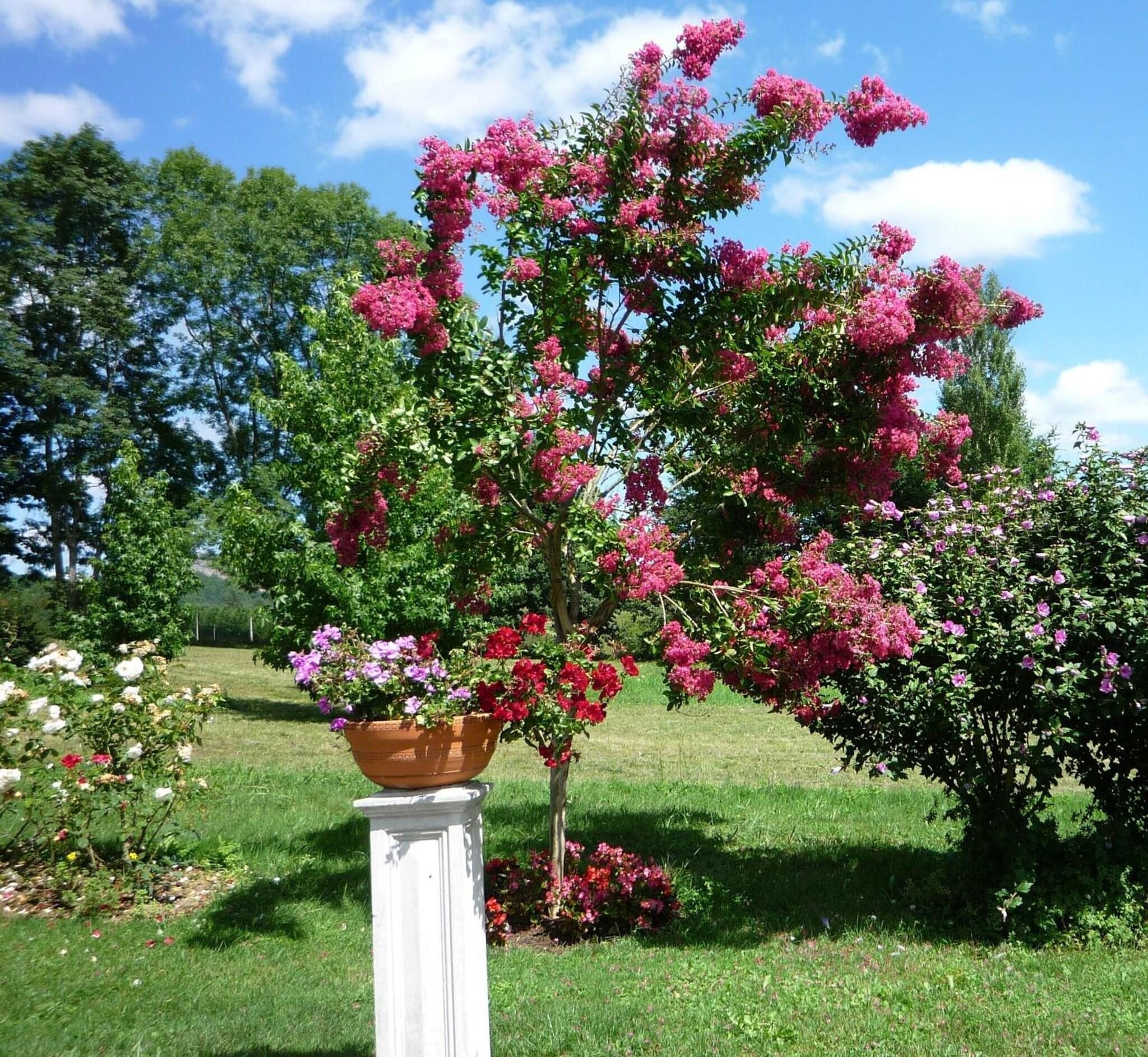 Vista Exterior Domaine Vega