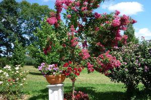 Alojamiento - Domaine Vega