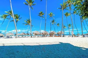Alojamiento - BEACH FUN AND LIFE