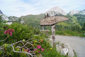 Alojamiento - Der Tröpolacherhof Hotel & Restaurant
