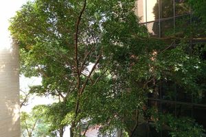 Alojamiento - Hotel Rulay Medellin