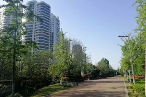 Alojamiento - Poltton International Apartment Luohe