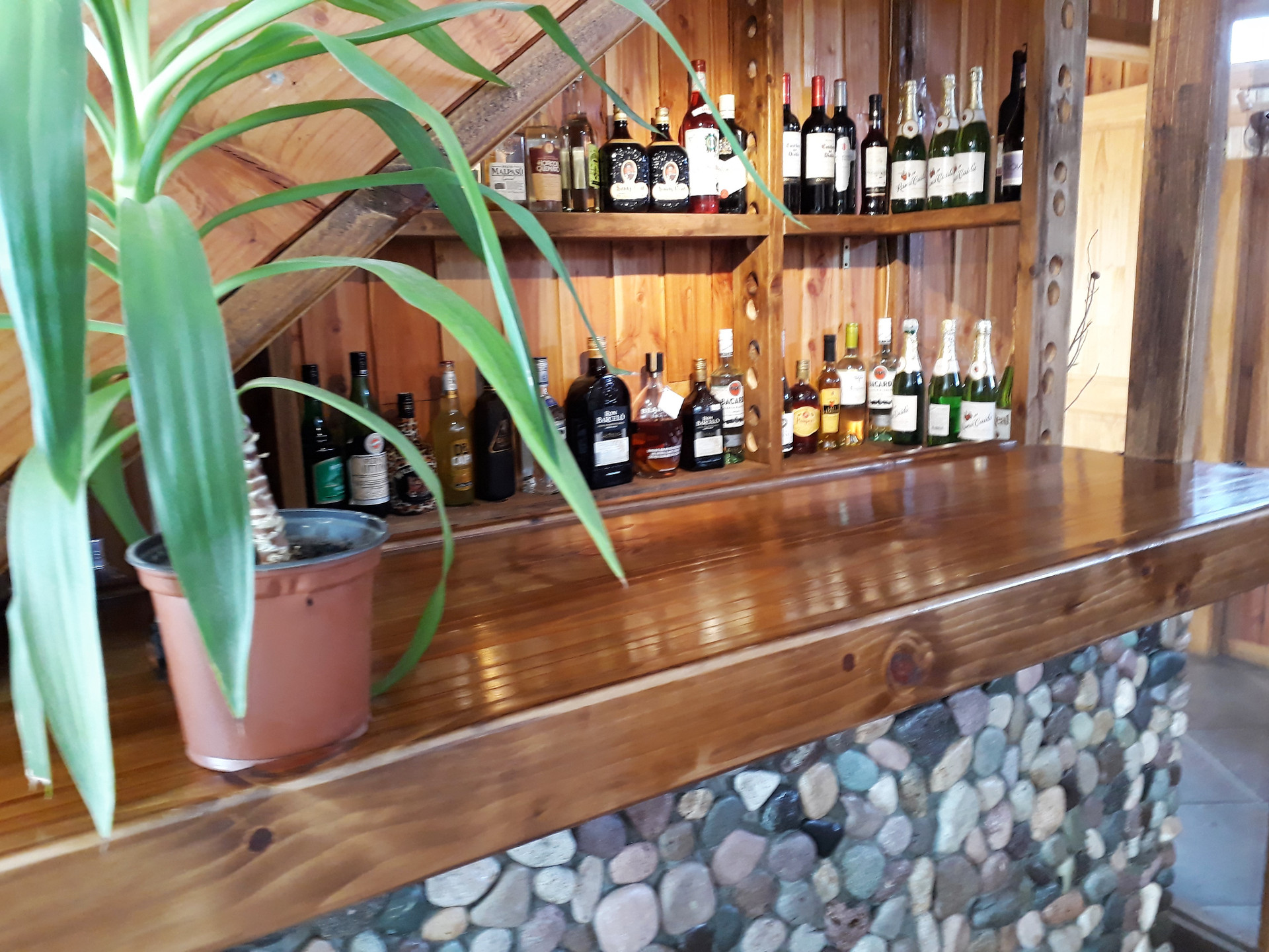 Bar/Salón Hotel Posada del Río