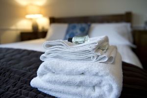 Alojamiento - Springfield Guesthouse