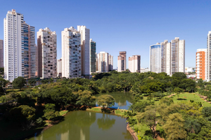 Passagem - Voos para Goiânia