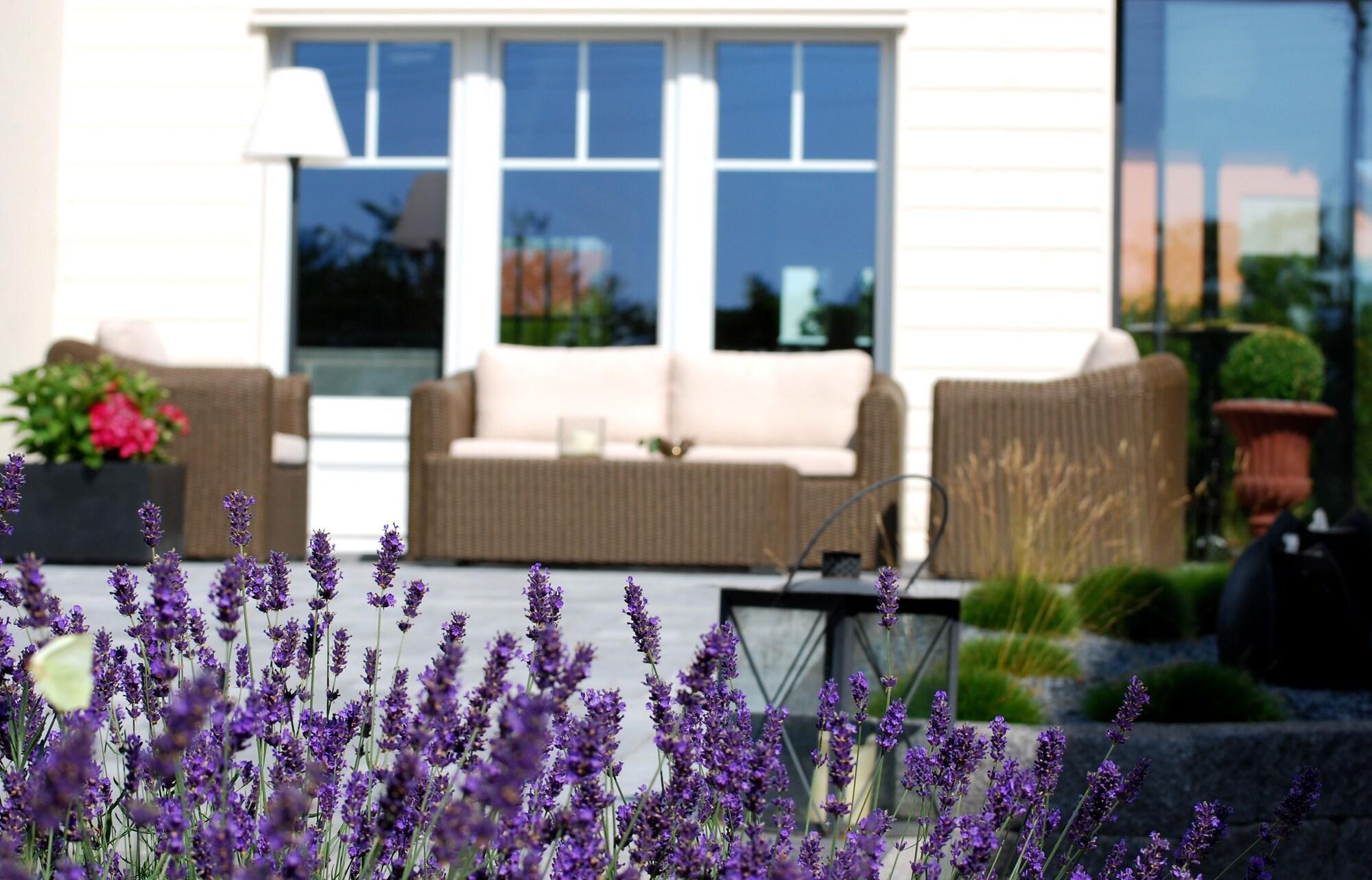 Vista Exterior Hotel Zur Traube