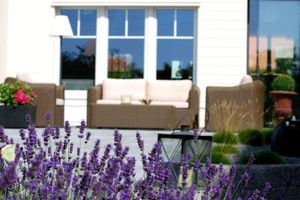 Alojamiento - Hotel Zur Traube