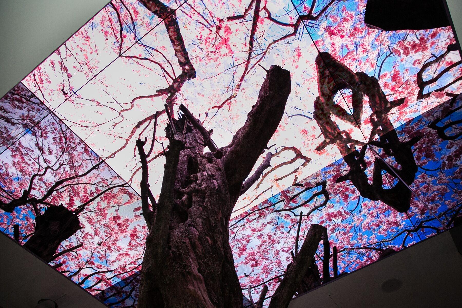 Vista Lobby Vista Walkerhill Seoul