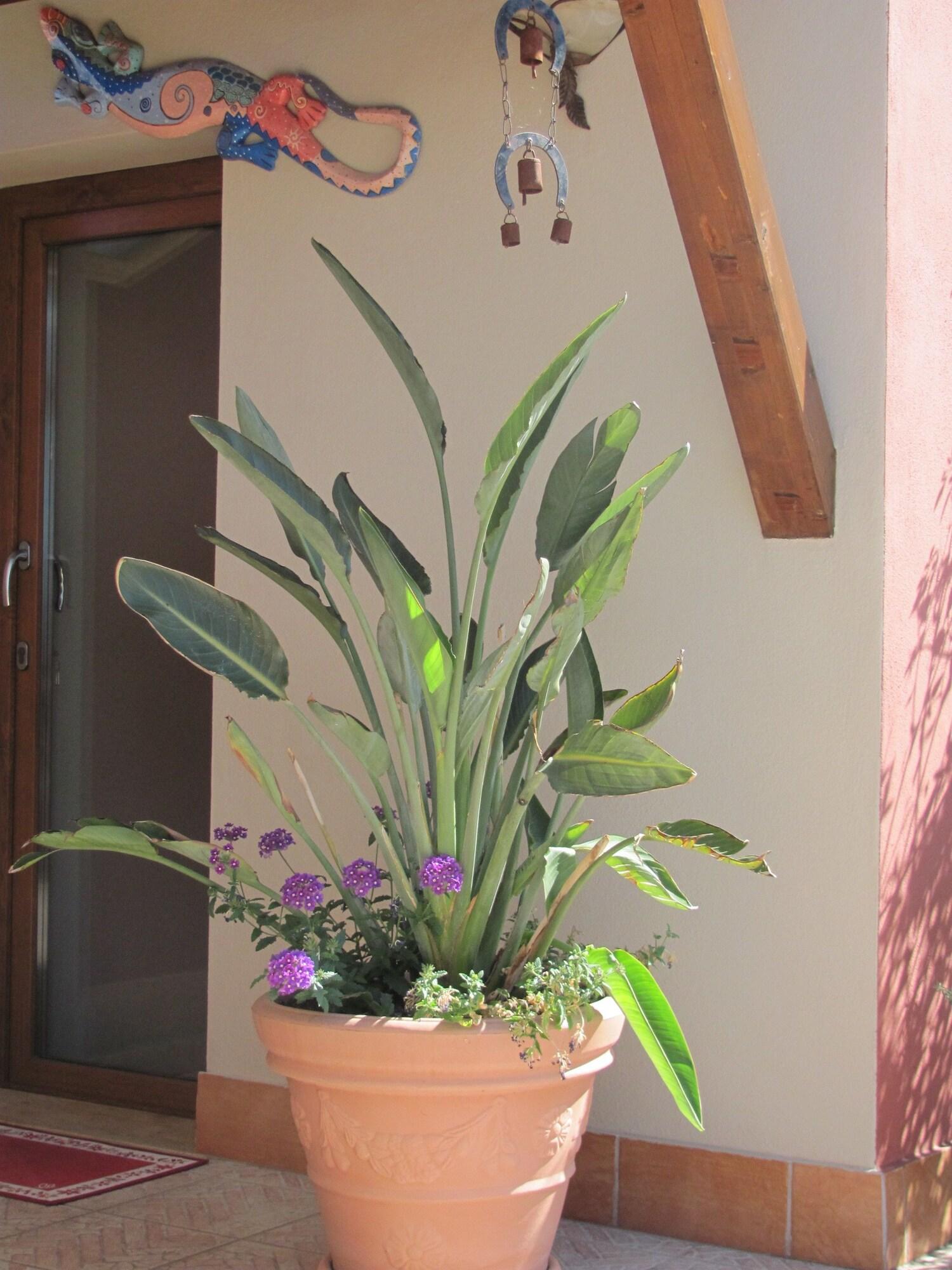 Vista Exterior B&B Domu Mea